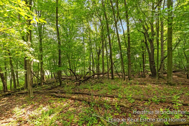 4327 Woodside Oaks Drive, Kentwood, MI 49546