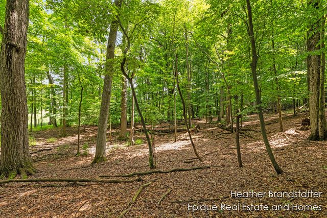 4327 Woodside Oaks Drive, Kentwood, MI 49546