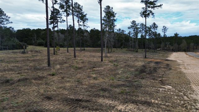 0 Anna Grace, Livingston, TX 77351