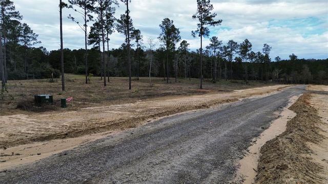 0 Anna Grace, Livingston, TX 77351