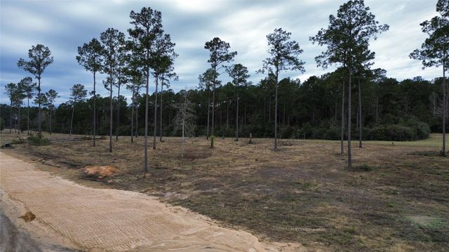 0 Anna Grace, Livingston, TX 77351