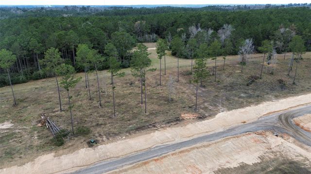 0 Anna Grace, Livingston, TX 77351