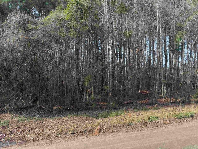 Lt 4 Rolling River Rd., Longs, SC 29568