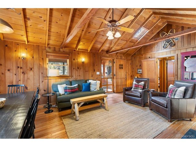 45 Conductor Ln, Lake George, CO 80827