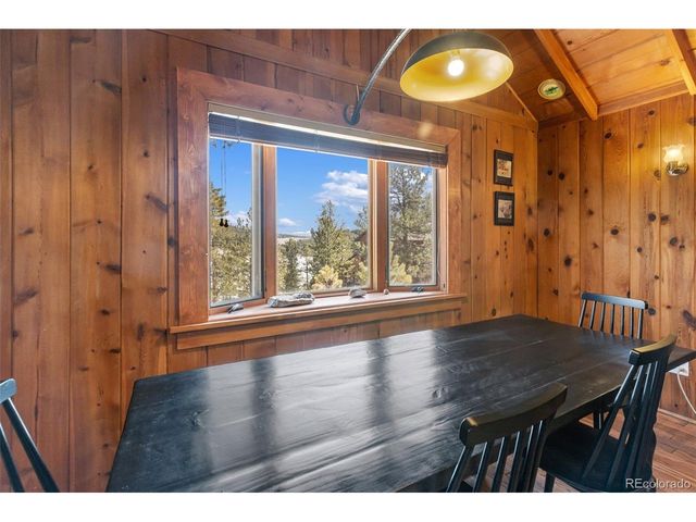 45 Conductor Ln, Lake George, CO 80827