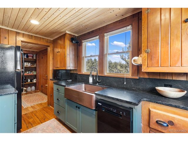45 Conductor Ln, Lake George, CO 80827