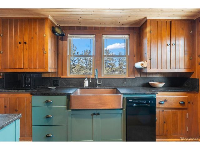 45 Conductor Ln, Lake George, CO 80827