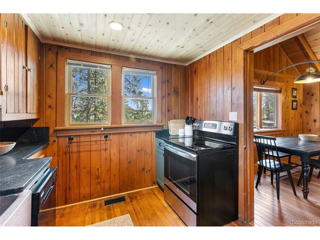 45 Conductor Ln, Lake George, CO 80827