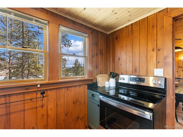 45 Conductor Ln, Lake George, CO 80827
