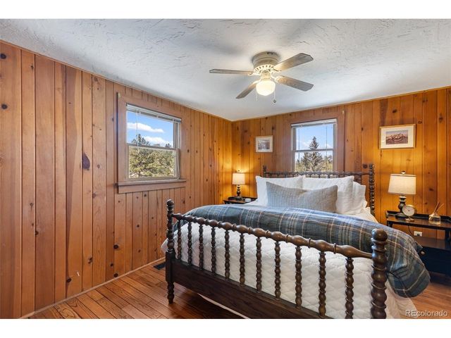 45 Conductor Ln, Lake George, CO 80827