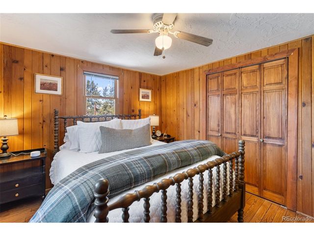 45 Conductor Ln, Lake George, CO 80827