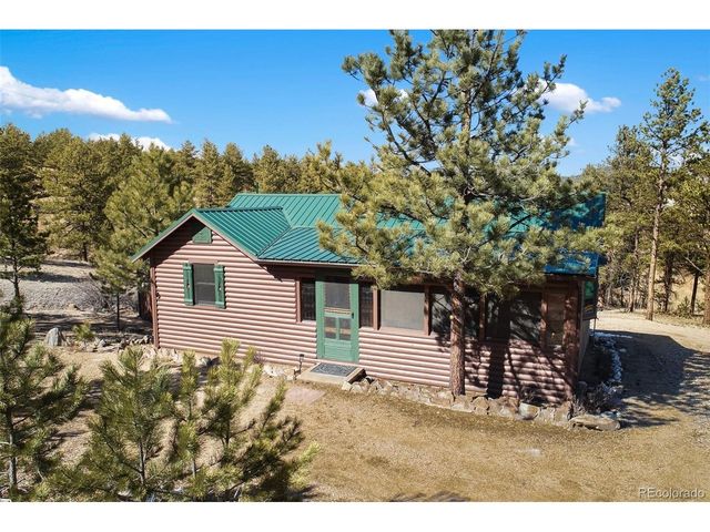 45 Conductor Ln, Lake George, CO 80827