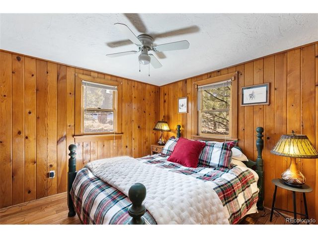 45 Conductor Ln, Lake George, CO 80827