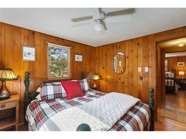 45 Conductor Ln, Lake George, CO 80827