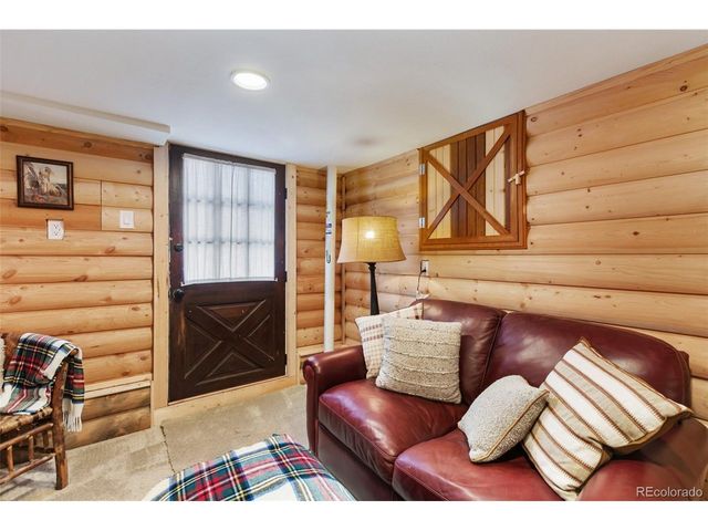 45 Conductor Ln, Lake George, CO 80827