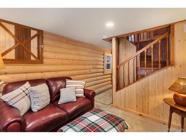 45 Conductor Ln, Lake George, CO 80827