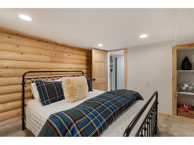 45 Conductor Ln, Lake George, CO 80827