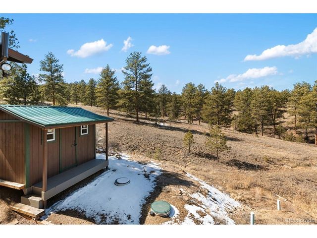 45 Conductor Ln, Lake George, CO 80827