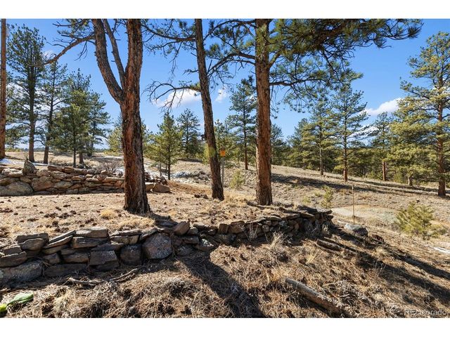 45 Conductor Ln, Lake George, CO 80827