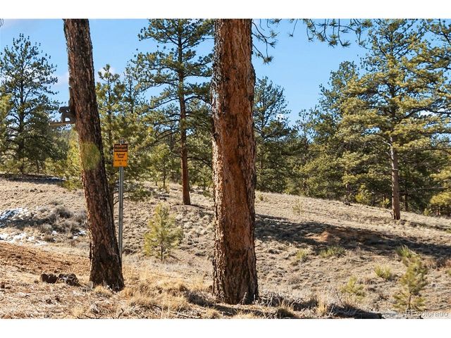 45 Conductor Ln, Lake George, CO 80827