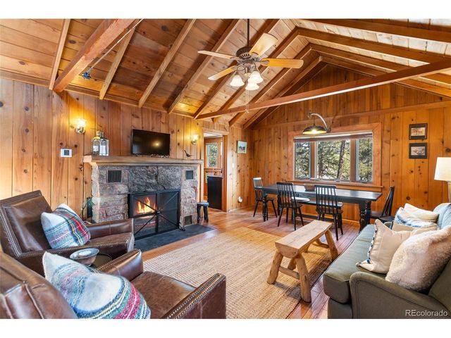 45 Conductor Ln, Lake George, CO 80827