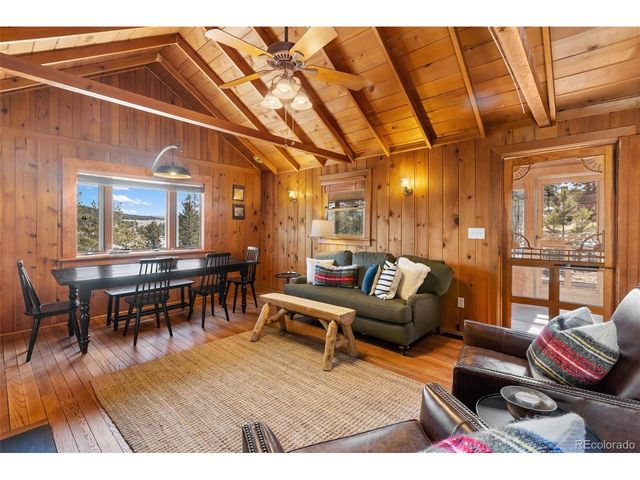 45 Conductor Ln, Lake George, CO 80827