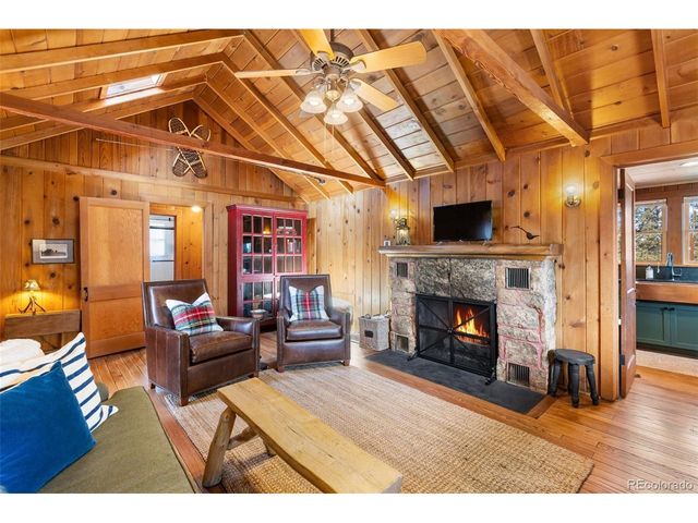 45 Conductor Ln, Lake George, CO 80827
