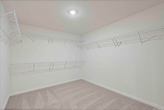 3431 Warlow Branch, San Antonio, TX 78109