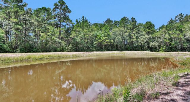 9445 Cr 415 E, Navasota, TX 77868