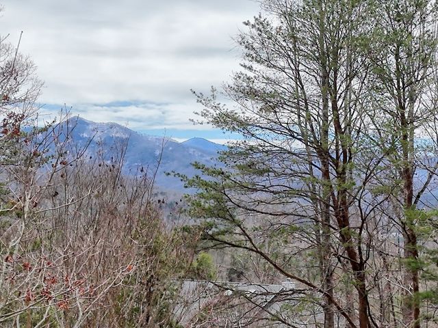 962 Ashley Lane, Young Harris, GA 30582