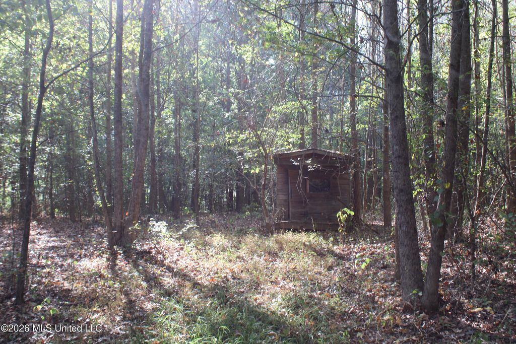 9 Star Landing Road, Nesbit, MS 38651 — exterior