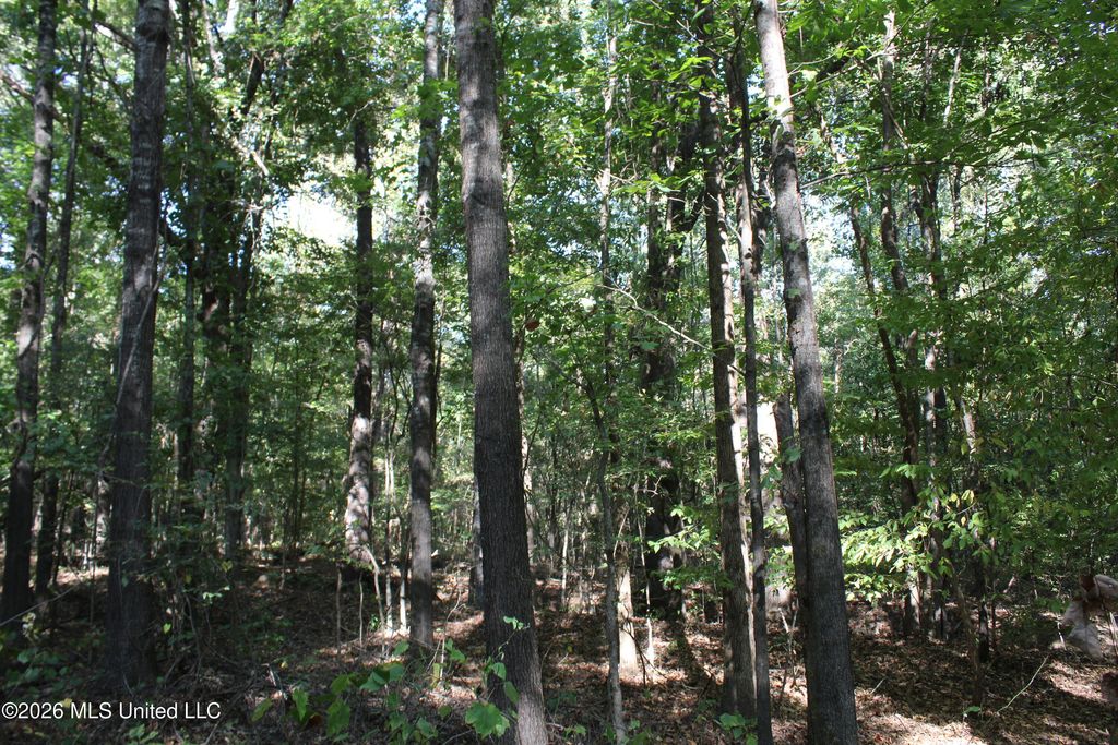 9 Star Landing Road, Nesbit, MS 38651 — photo 3