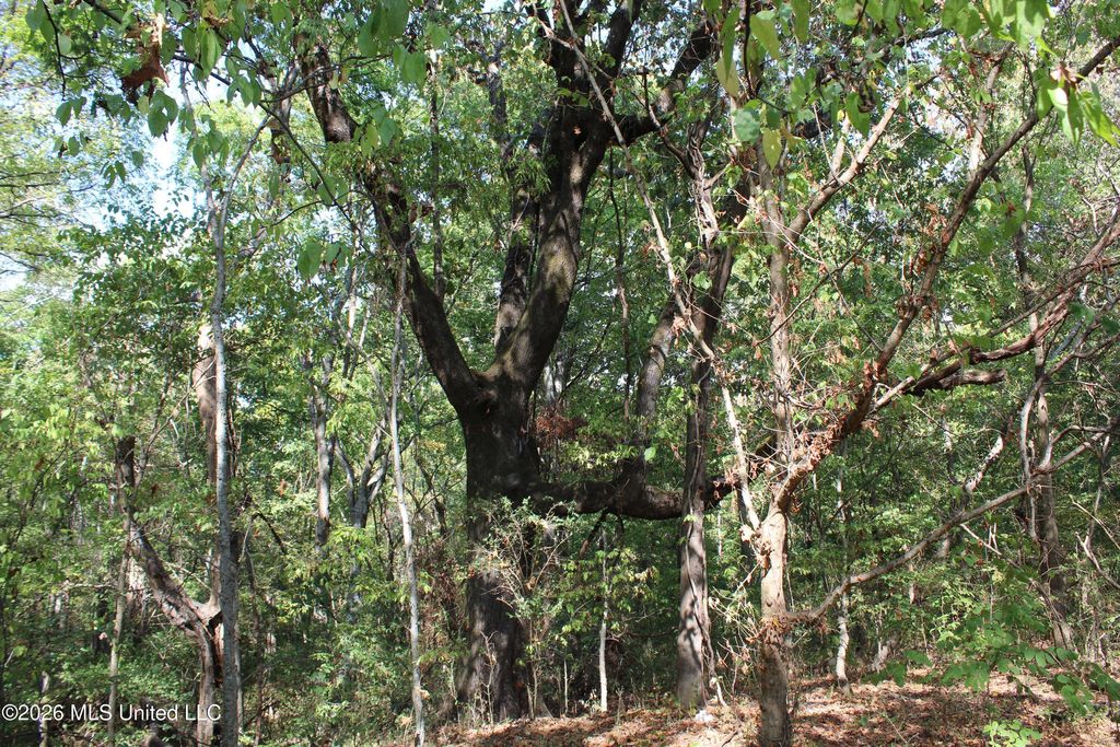 9 Star Landing Road, Nesbit, MS 38651 — photo 4