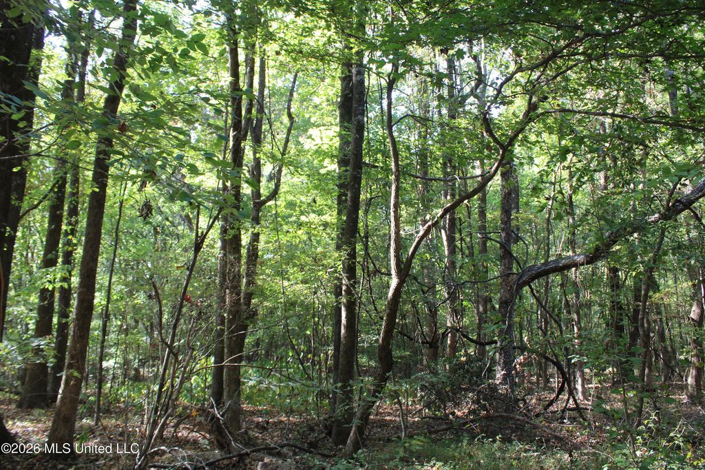 9 Star Landing Road, Nesbit, MS 38651 — photo 5