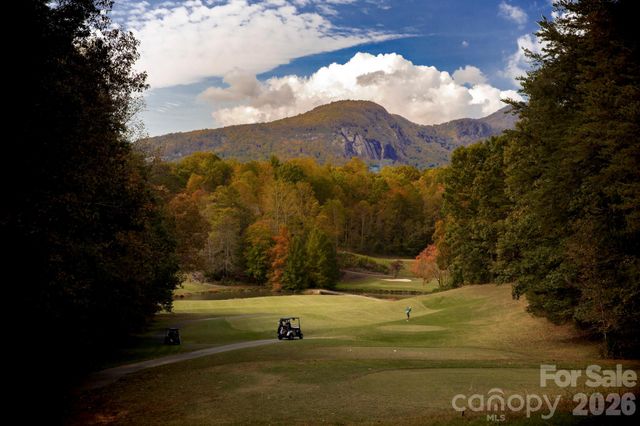 160 Whitney Boulevard 49, Lake Lure, NC 28746