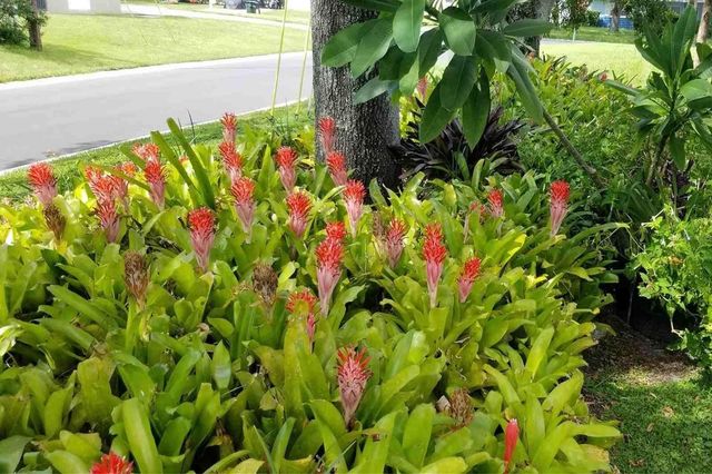 12731 106TH STREET, Largo, FL 33773