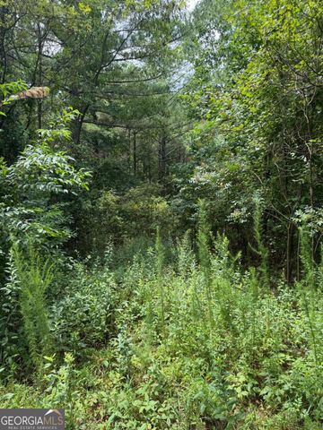 LTS 43 & 44 Reece Mountain Road, Ellijay, GA 30536