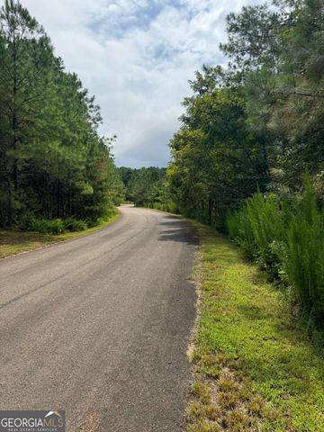 LTS 43 & 44 Reece Mountain Road, Ellijay, GA 30536