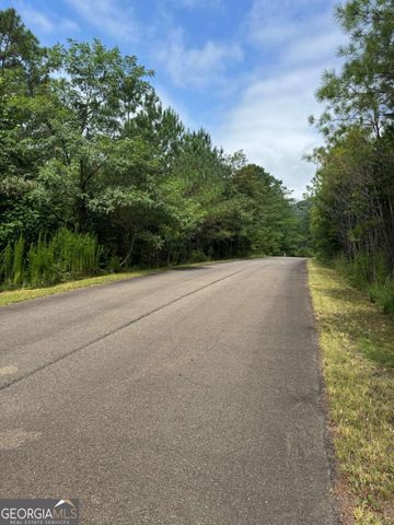 LTS 43 & 44 Reece Mountain Road, Ellijay, GA 30536