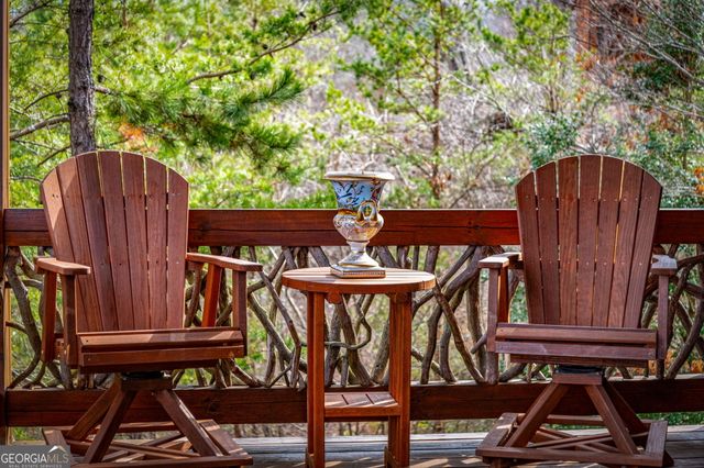 360 Hope Drive, Blue Ridge, GA 30513