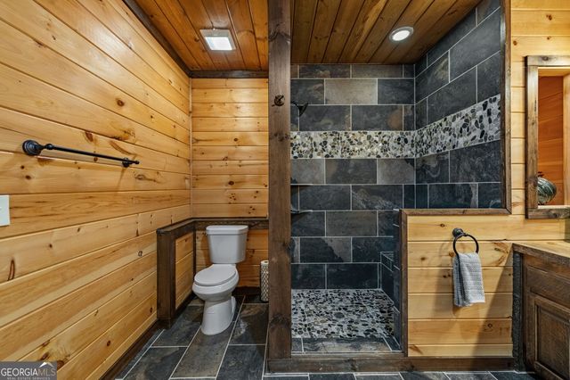 360 Hope Drive, Blue Ridge, GA 30513