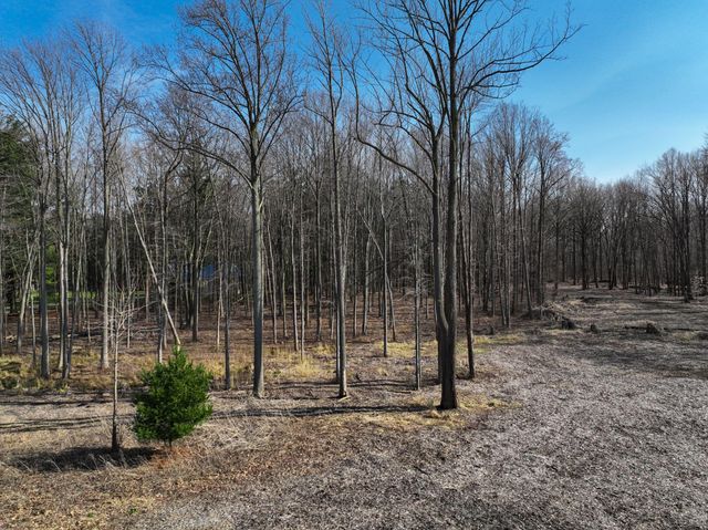 0 Youngren Road, Chikaming Twp, MI 49115