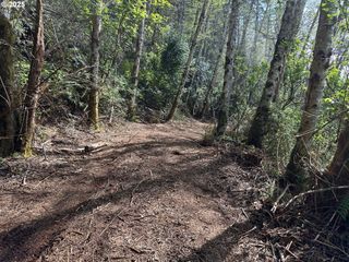 Mountain Dr, Brookings, OR 97415