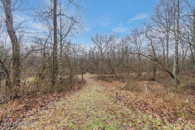 115 Locust Park Pl, Louisville, KY 40245