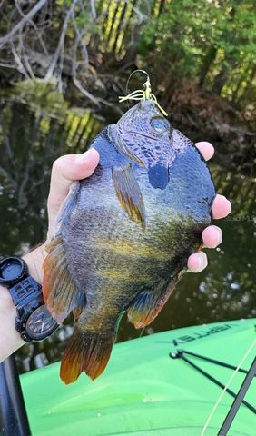 127 SE 930 STREET, Old Town, FL 32680