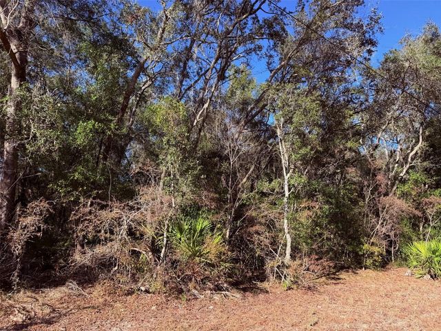 127 SE 930 STREET, Old Town, FL 32680