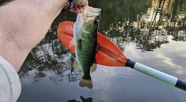 127 SE 930 STREET, Old Town, FL 32680