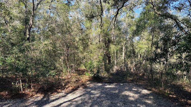 127 SE 930 STREET, Old Town, FL 32680