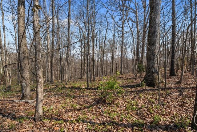 510 Big Richland Dr, Waverly, TN 37185