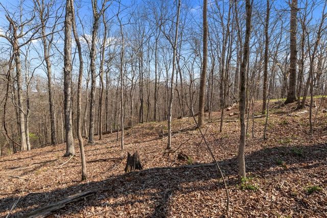 510 Big Richland Dr, Waverly, TN 37185